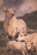 Sir Edwin Landseer Wild Cattle at Chillingham (nn03) oil on canvas
